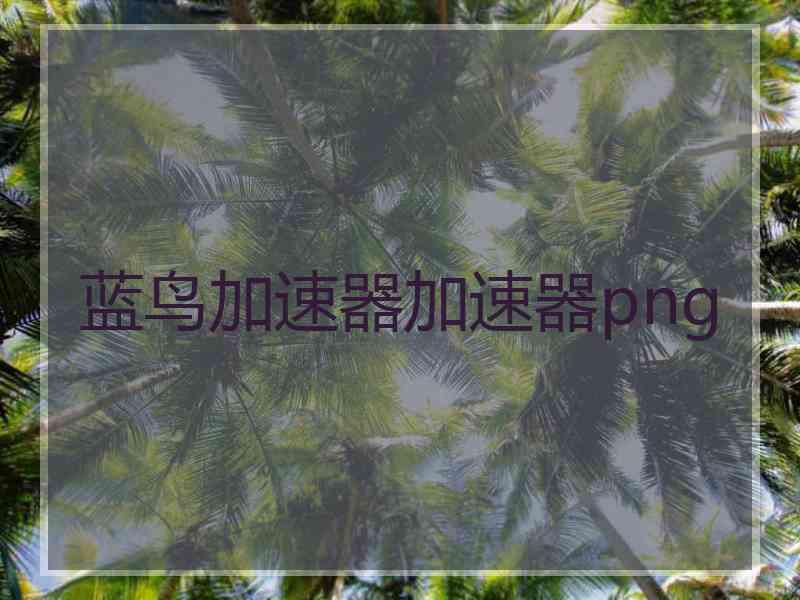 蓝鸟加速器加速器png