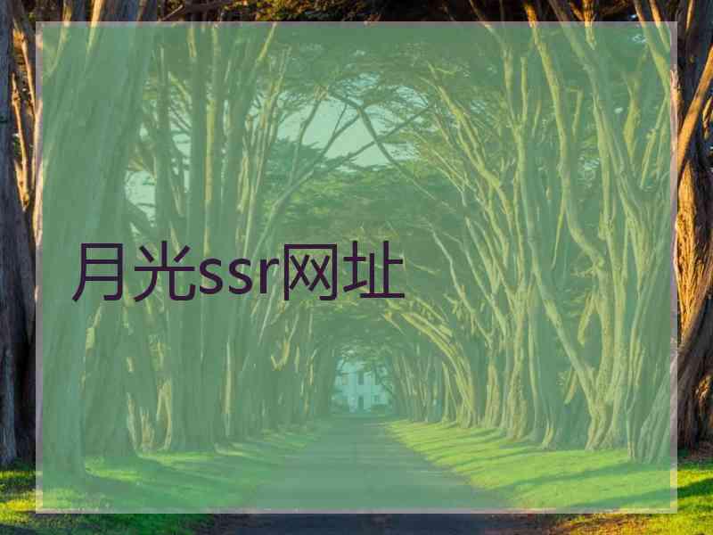 月光ssr网址