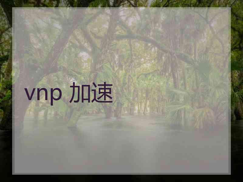 vnp 加速