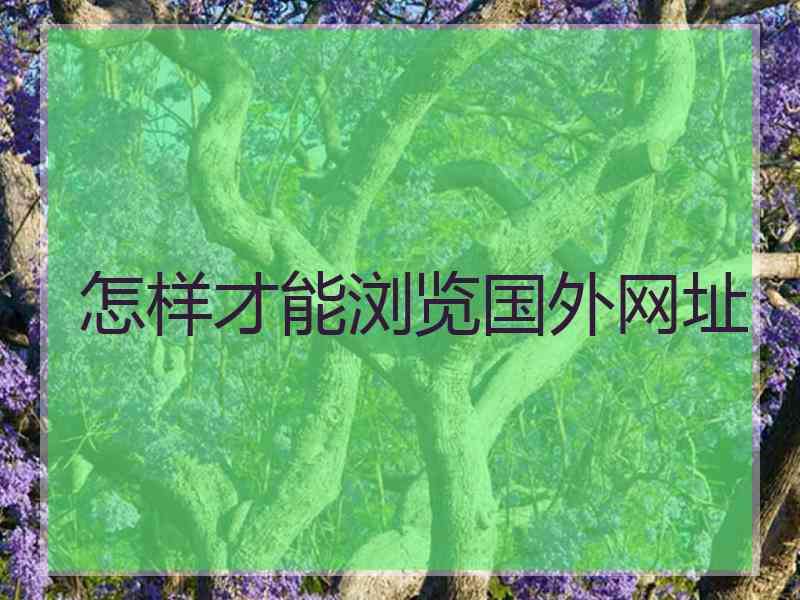 怎样才能浏览国外网址