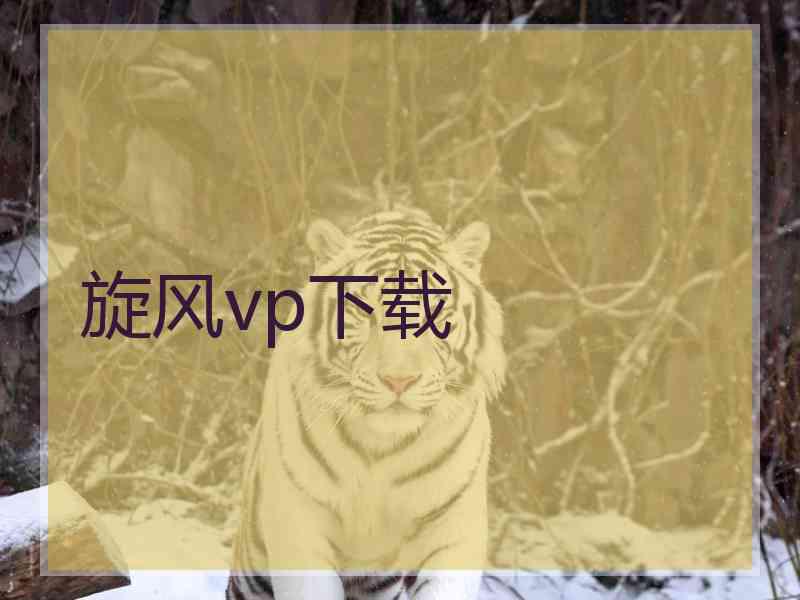 旋风vp下载