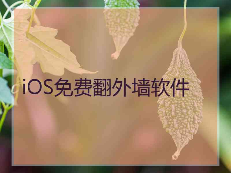 iOS免费翻外墙软件