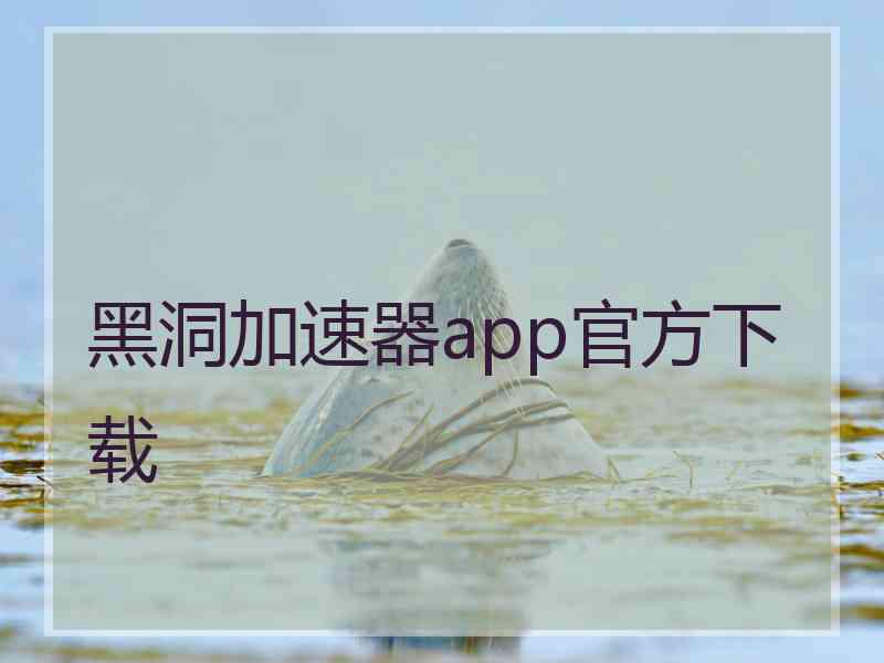 黑洞加速器app官方下载