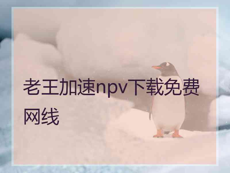 老王加速npv下载免费网线