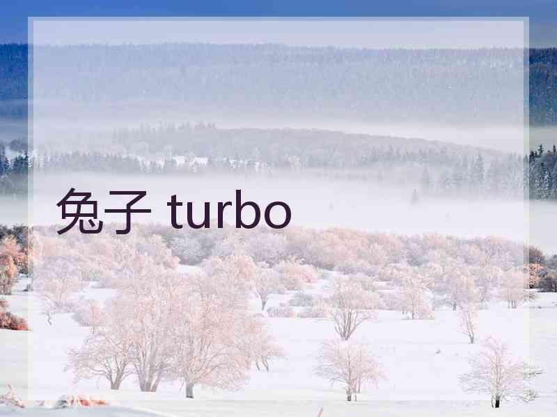 兔子 turbo