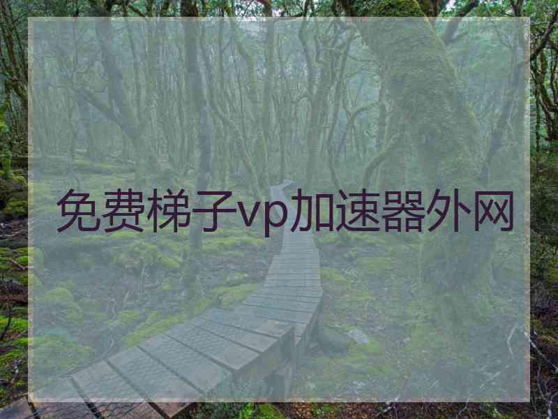 免费梯子vp加速器外网