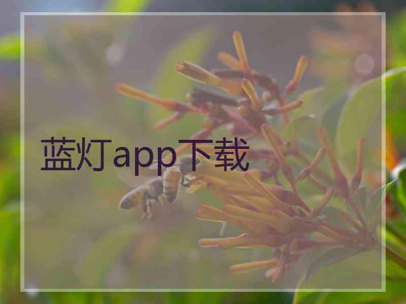 蓝灯app下载