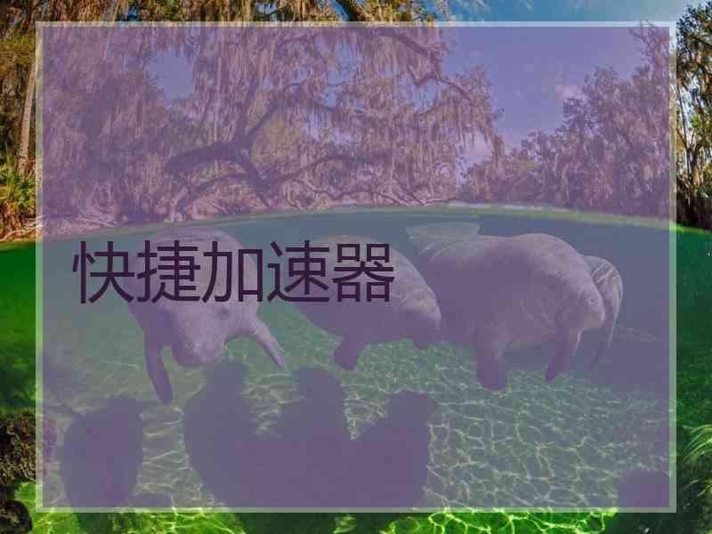 快捷加速器