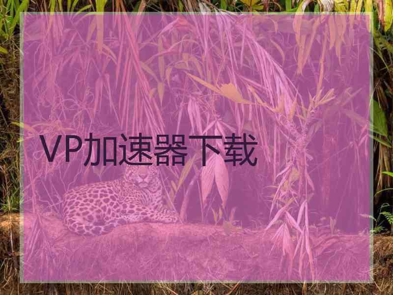 VP加速器下载