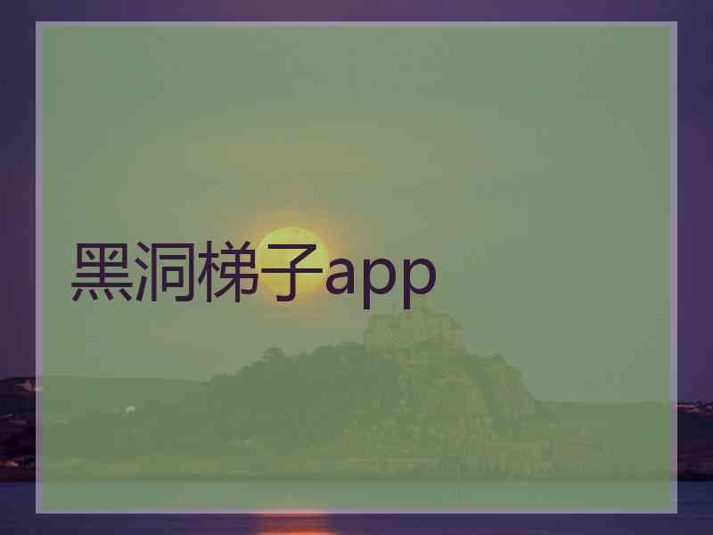 黑洞梯子app