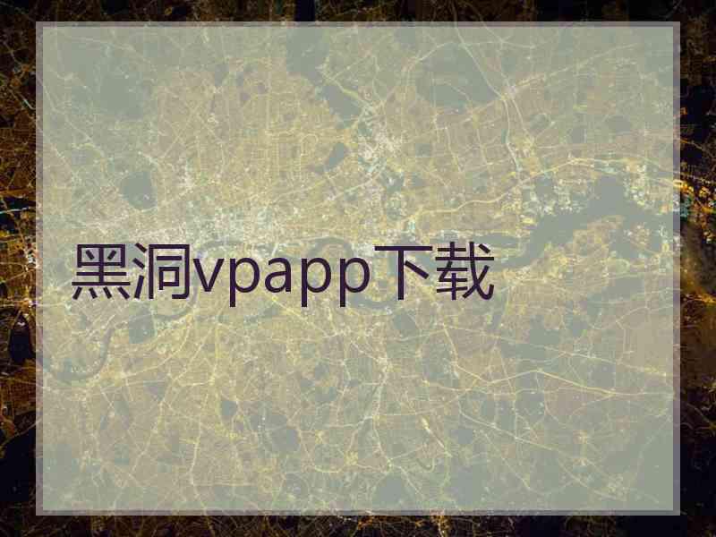 黑洞vpapp下载