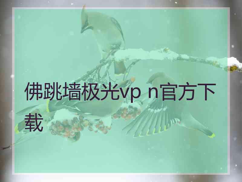 佛跳墙极光vp n官方下载