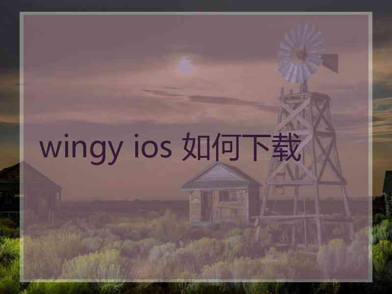 wingy ios 如何下载