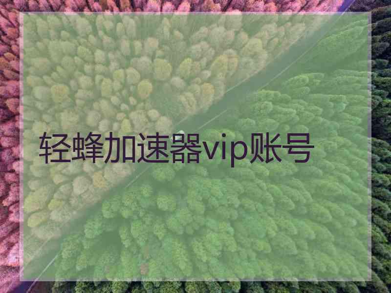 轻蜂加速器vip账号