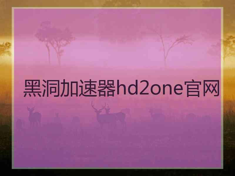 黑洞加速器hd2one官网