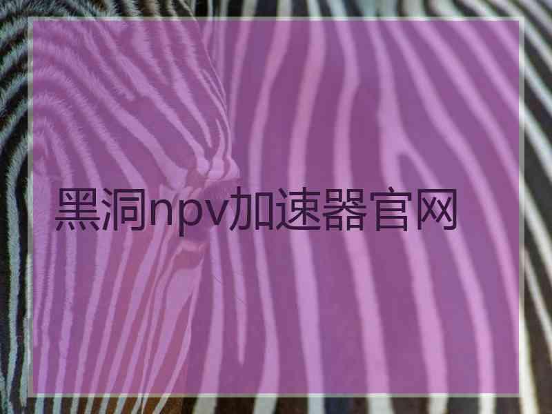 黑洞npv加速器官网