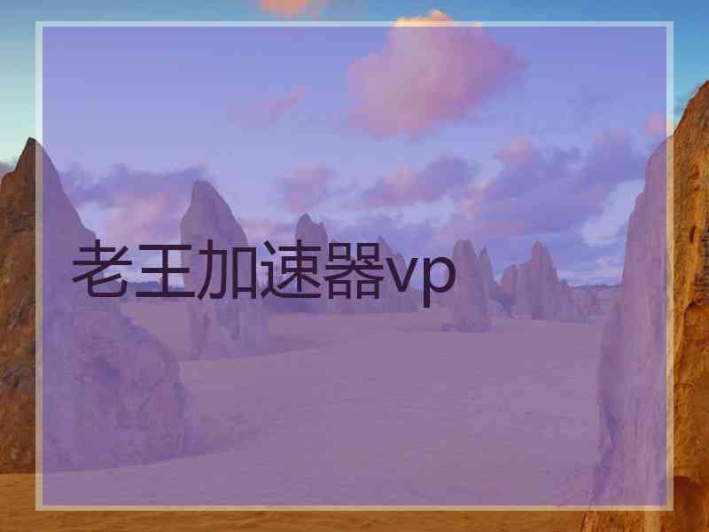 老王加速器vp