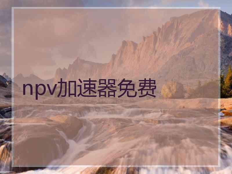 npv加速器免费