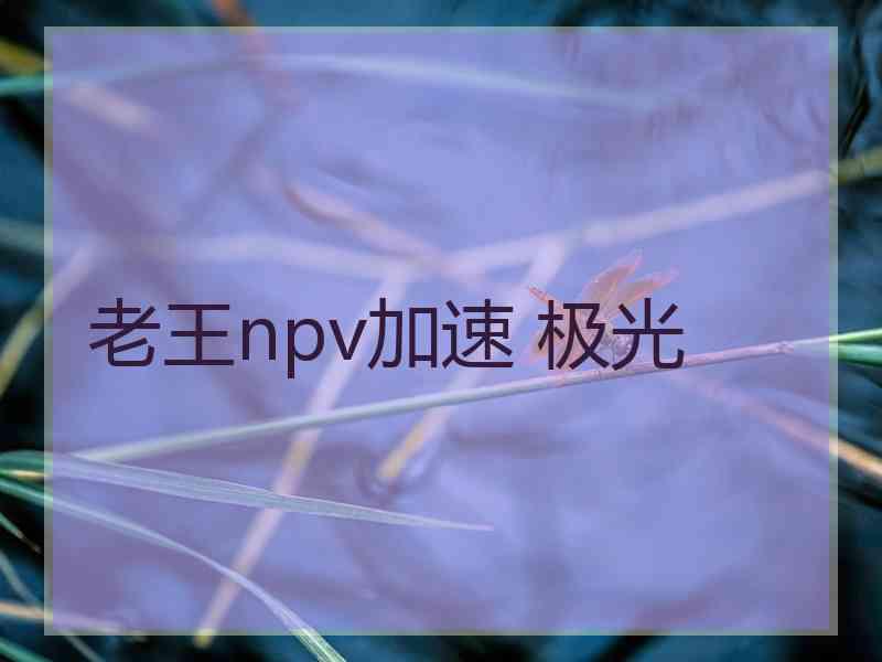 老王npv加速 极光