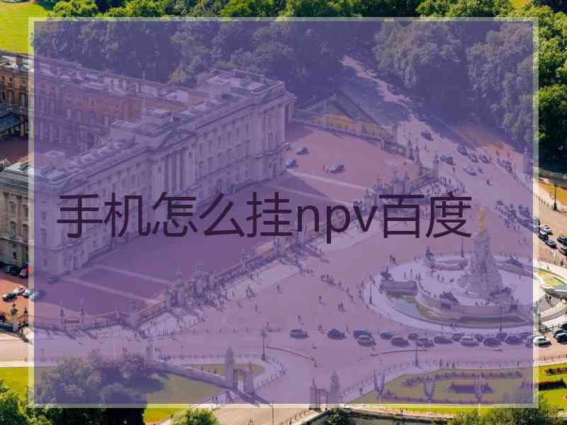 手机怎么挂npv百度