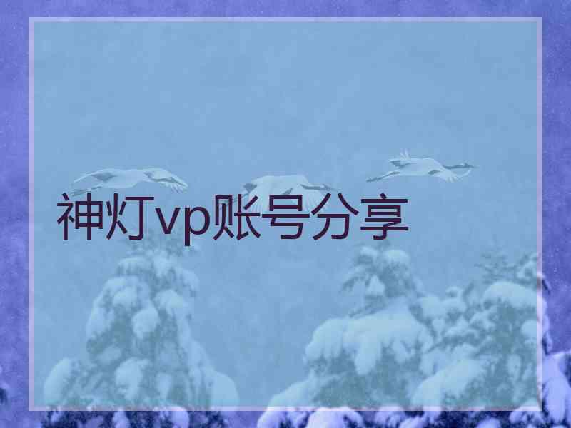 神灯vp账号分享