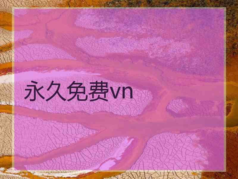 永久免费vn