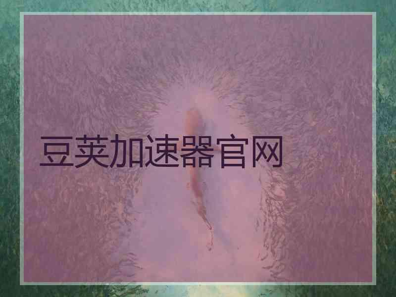 豆荚加速器官网