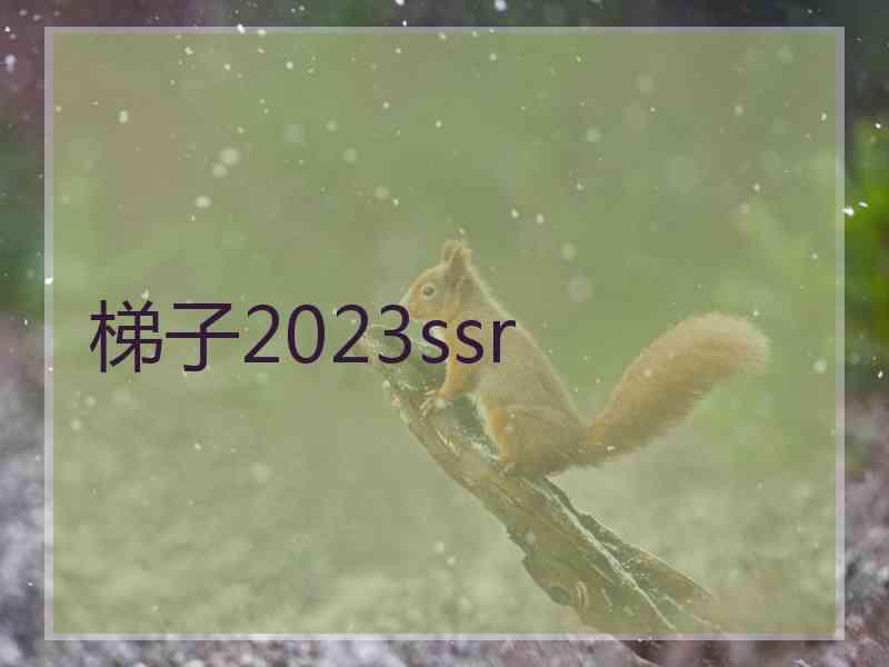 梯子2023ssr