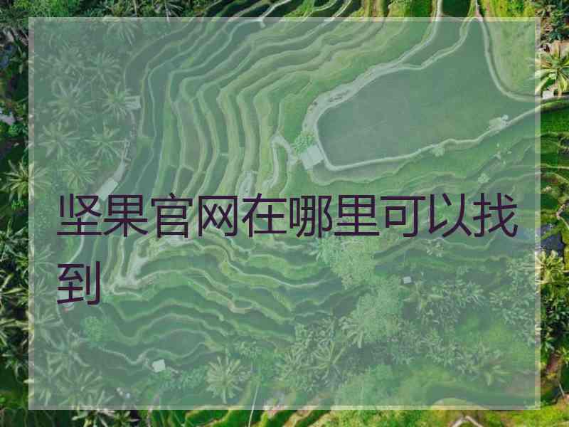 坚果官网在哪里可以找到