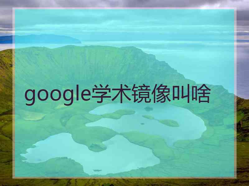 google学术镜像叫啥