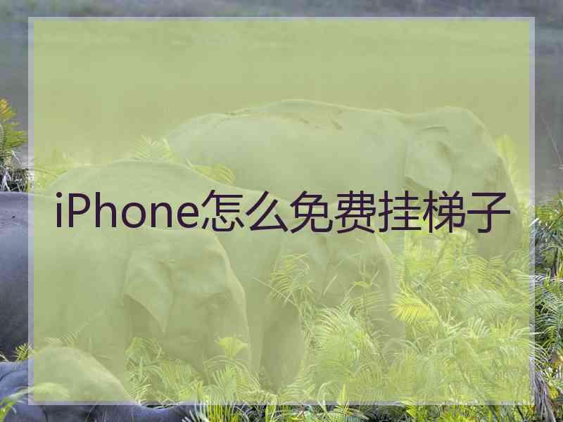 iPhone怎么免费挂梯子