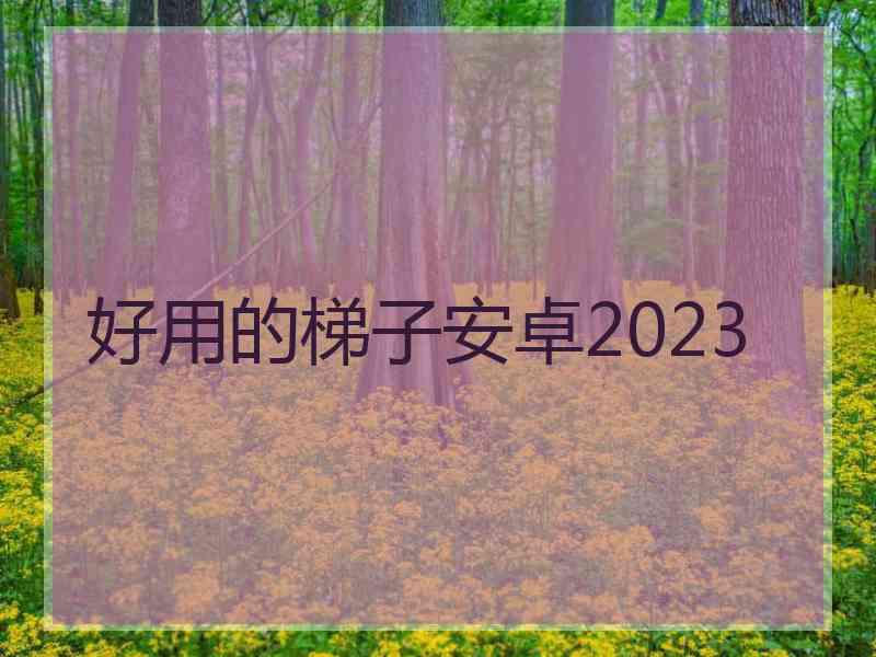 好用的梯子安卓2023