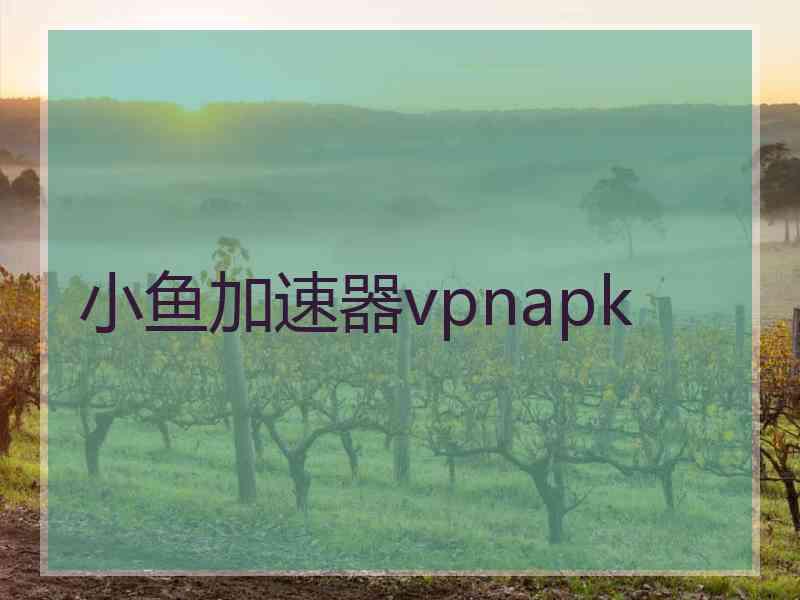 小鱼加速器vpnapk