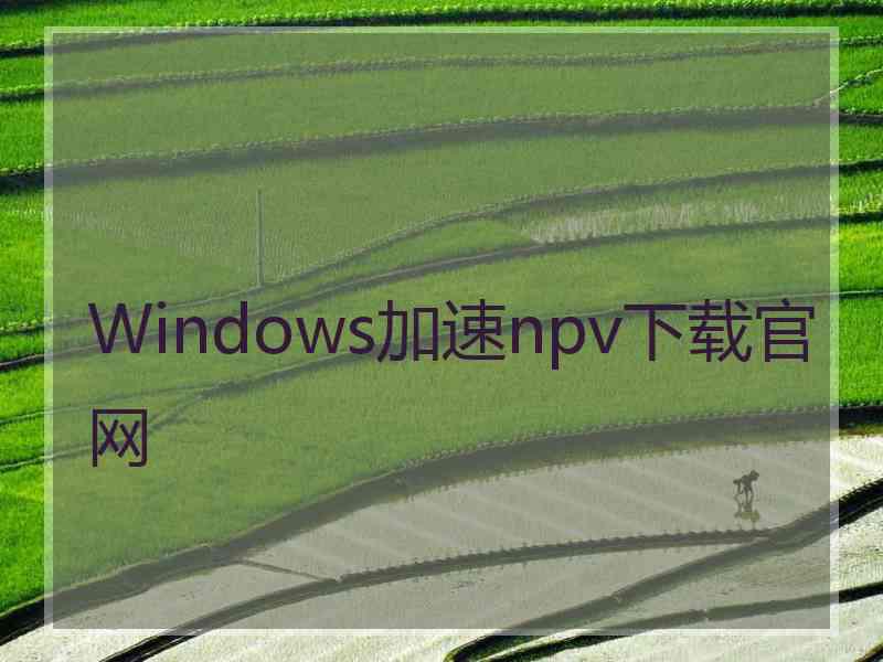 Windows加速npv下载官网