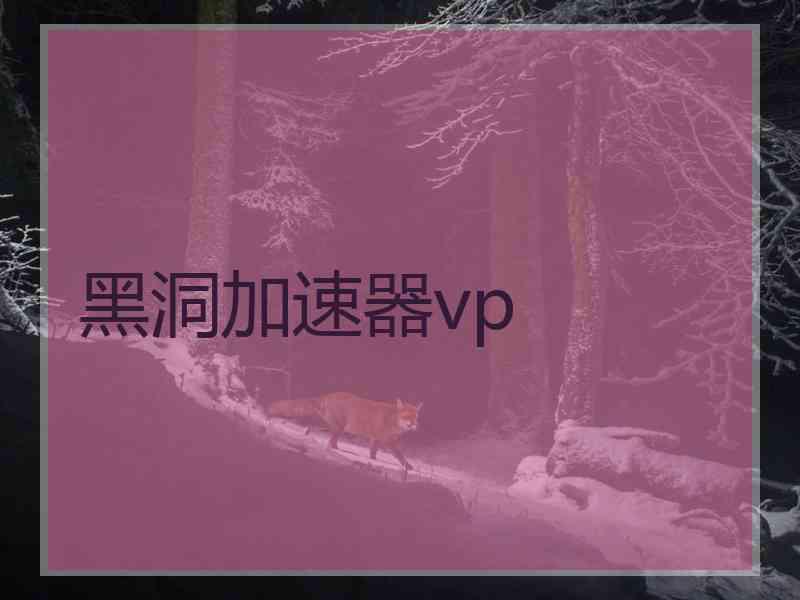 黑洞加速器vp