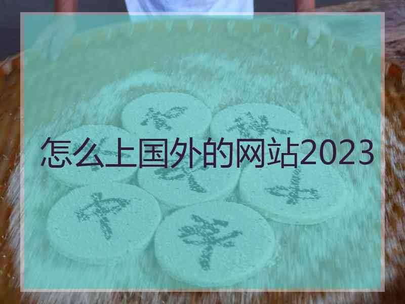 怎么上国外的网站2023