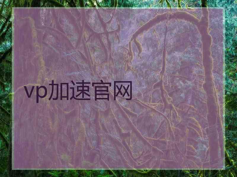 vp加速官网