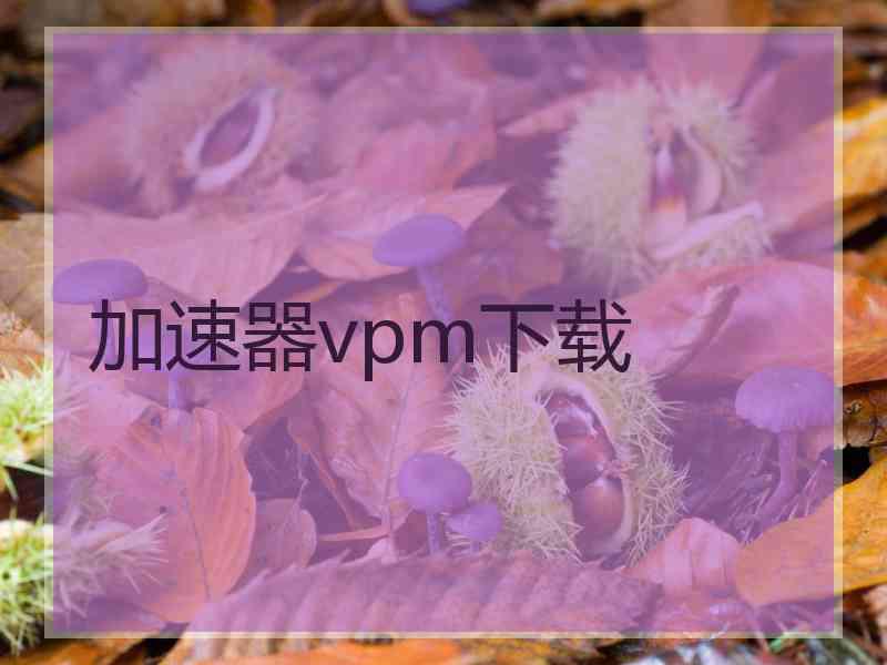 加速器vpm下载