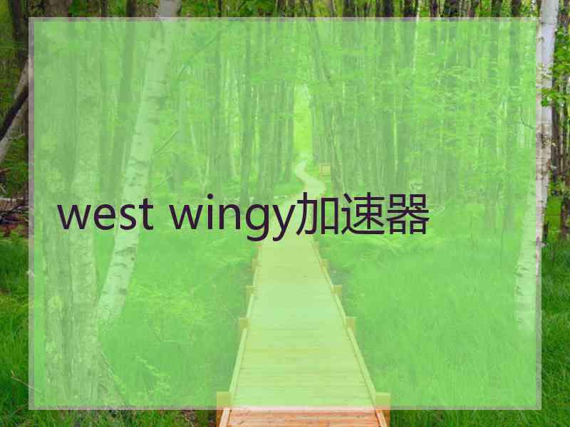 west wingy加速器