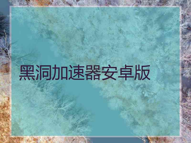 黑洞加速器安卓版