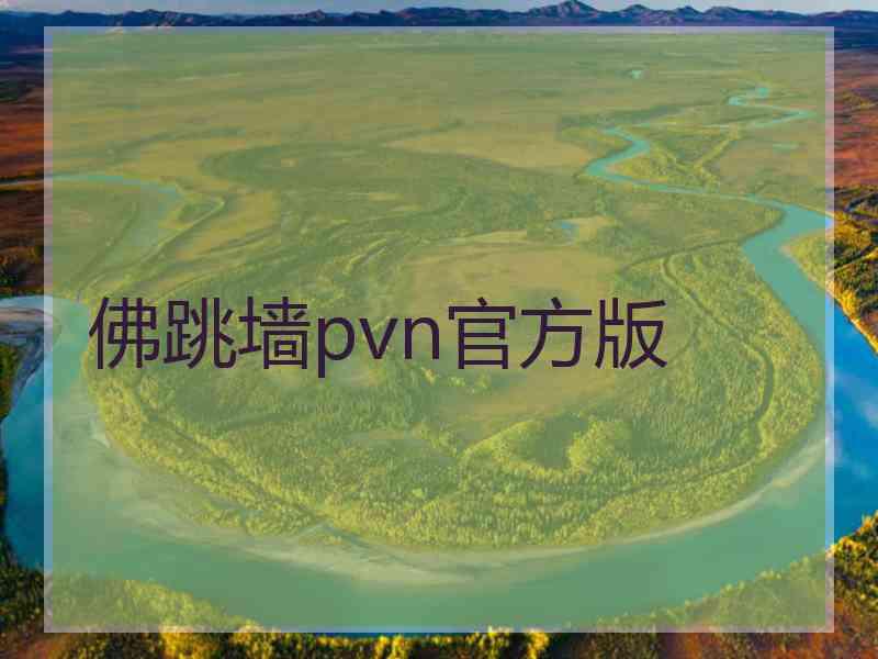 佛跳墙pvn官方版