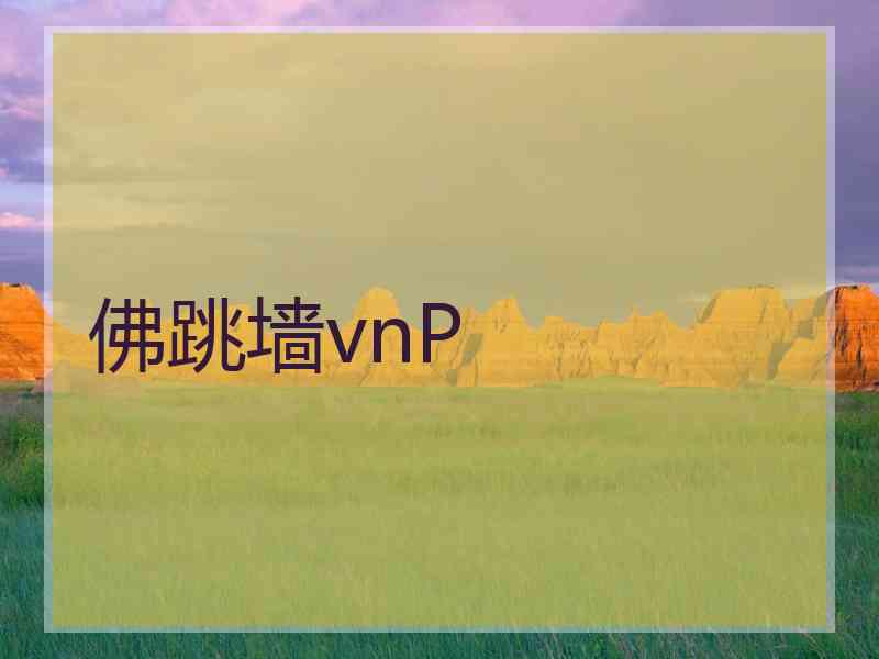 佛跳墙vnP