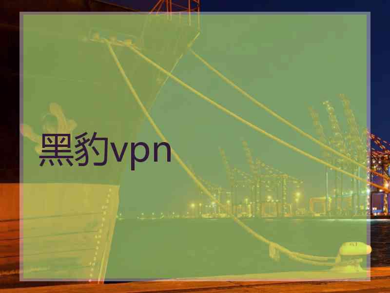 黑豹vpn