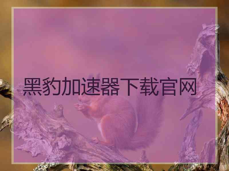 黑豹加速器下载官网