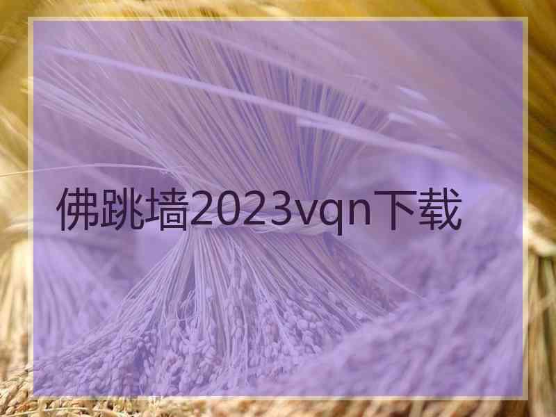 佛跳墙2023vqn下载