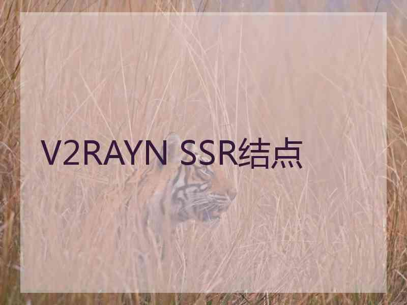 V2RAYN SSR结点