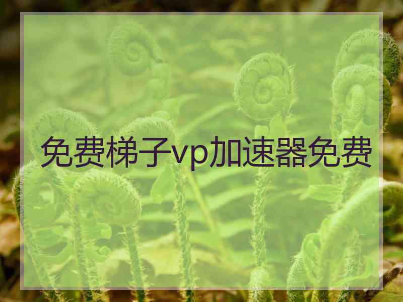 免费梯子vp加速器免费