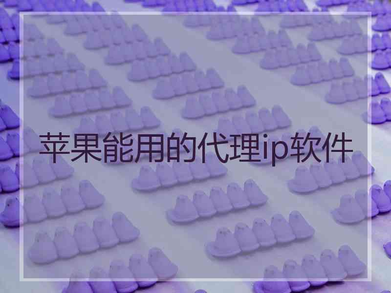 苹果能用的代理ip软件