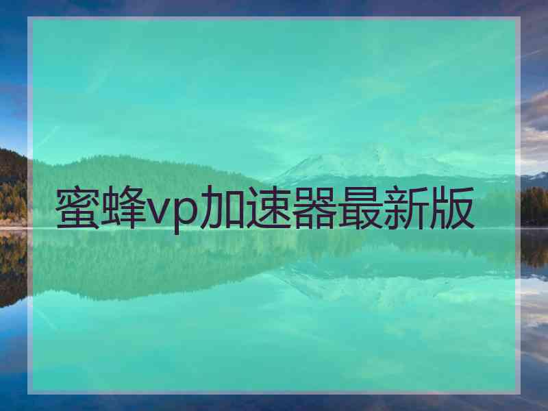 蜜蜂vp加速器最新版