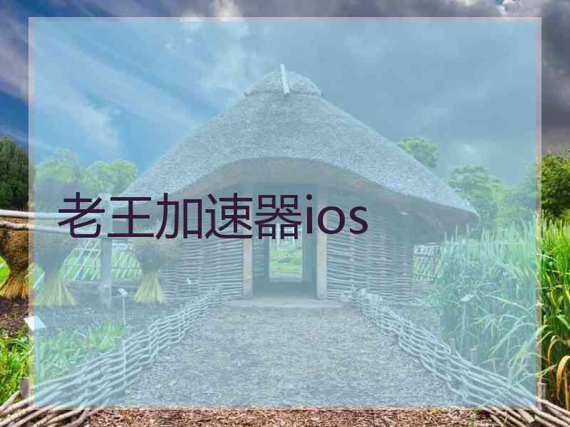 老王加速器ios